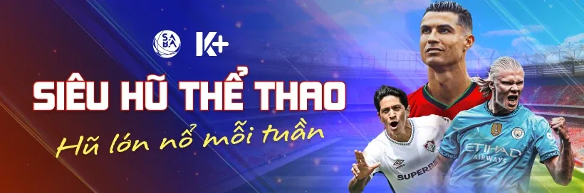 Hoàn trả thua cược FH8971